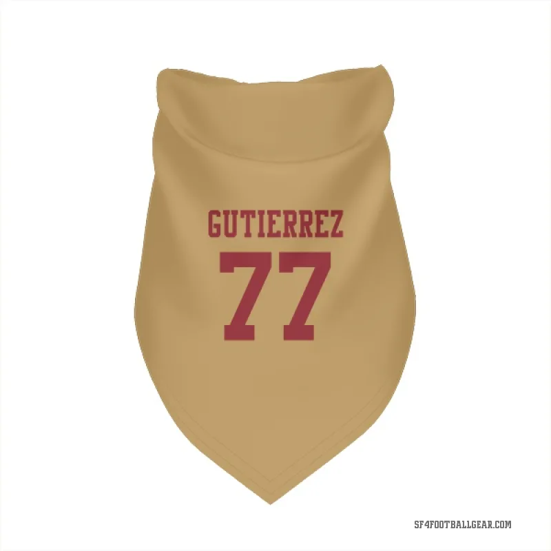Alfredo Gutierrez  Gold San Francisco 49ers  Cat & Dog Pet Bandana