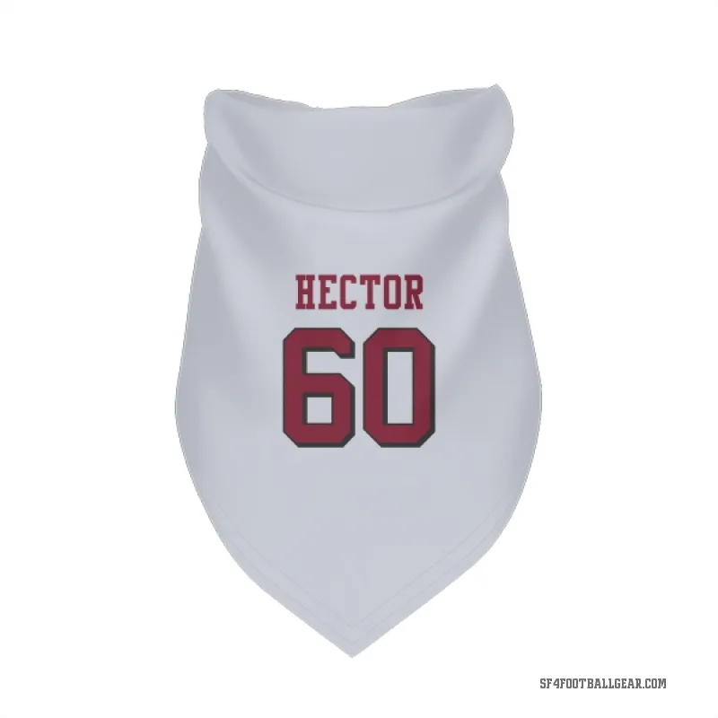 Bruce Hector  White San Francisco 49ers  Rush Cat & Dog Pet Bandana