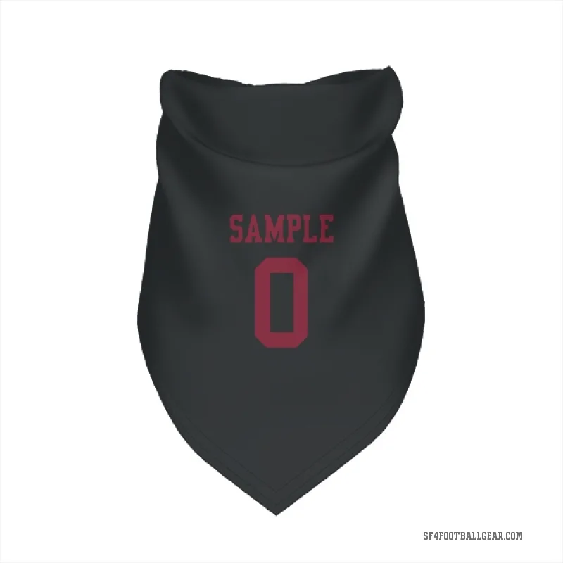 Cam Sample  Black San Francisco 49ers  Cat & Dog Pet Bandana