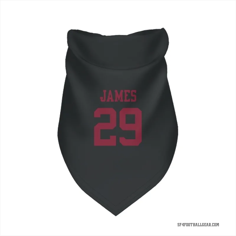 Jordan James  Black San Francisco 49ers  Cat & Dog Pet Bandana