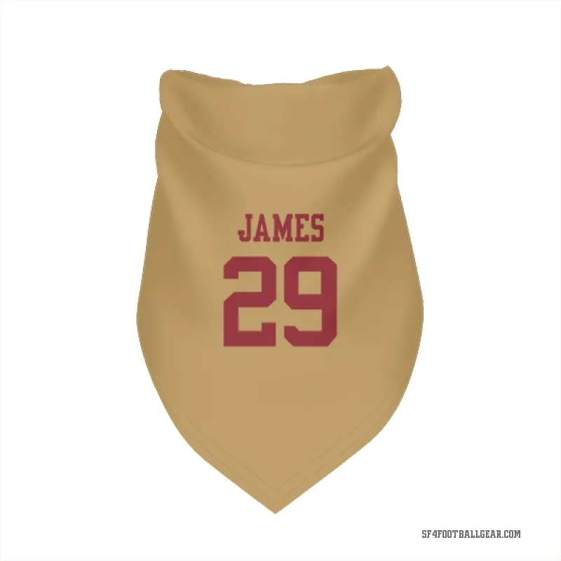 Jordan James  Gold San Francisco 49ers  Cat & Dog Pet Bandana