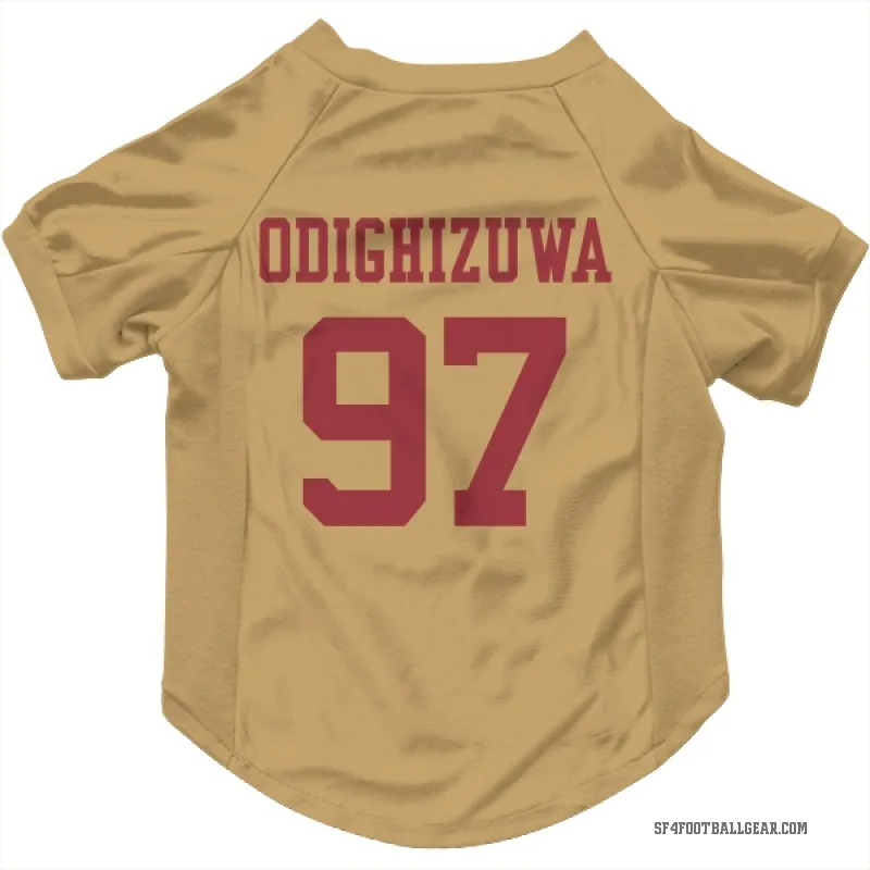Osa Odighizuwa  Gold San Francisco 49ers  Cat & Dog Pet Jersey